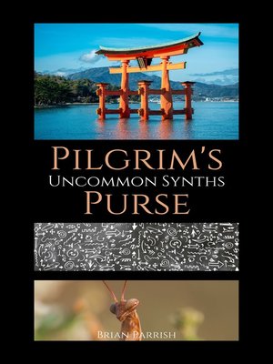 cover image of Pilgrim's Purse